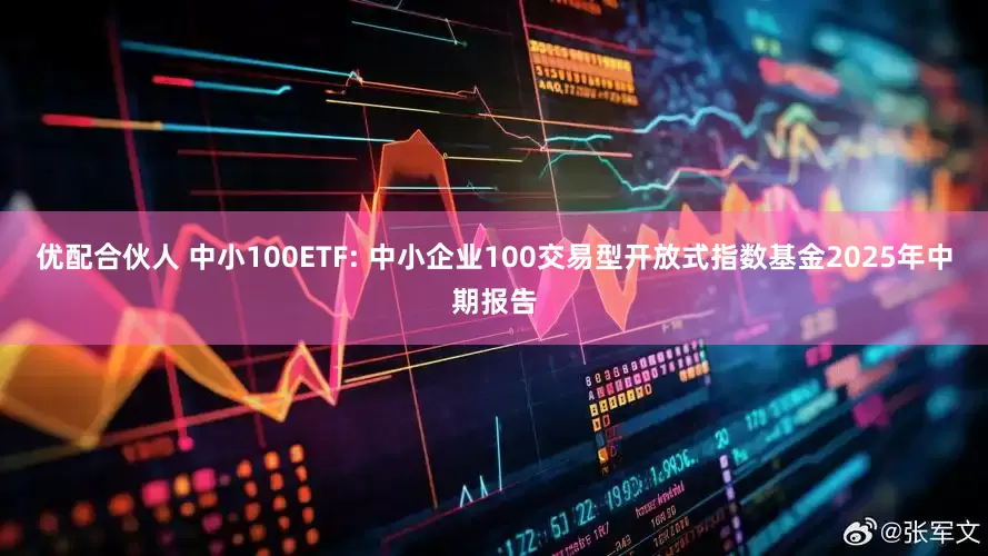 优配合伙人 中小100ETF: 中小企业100交易型开放式指数基金2025年中期报告